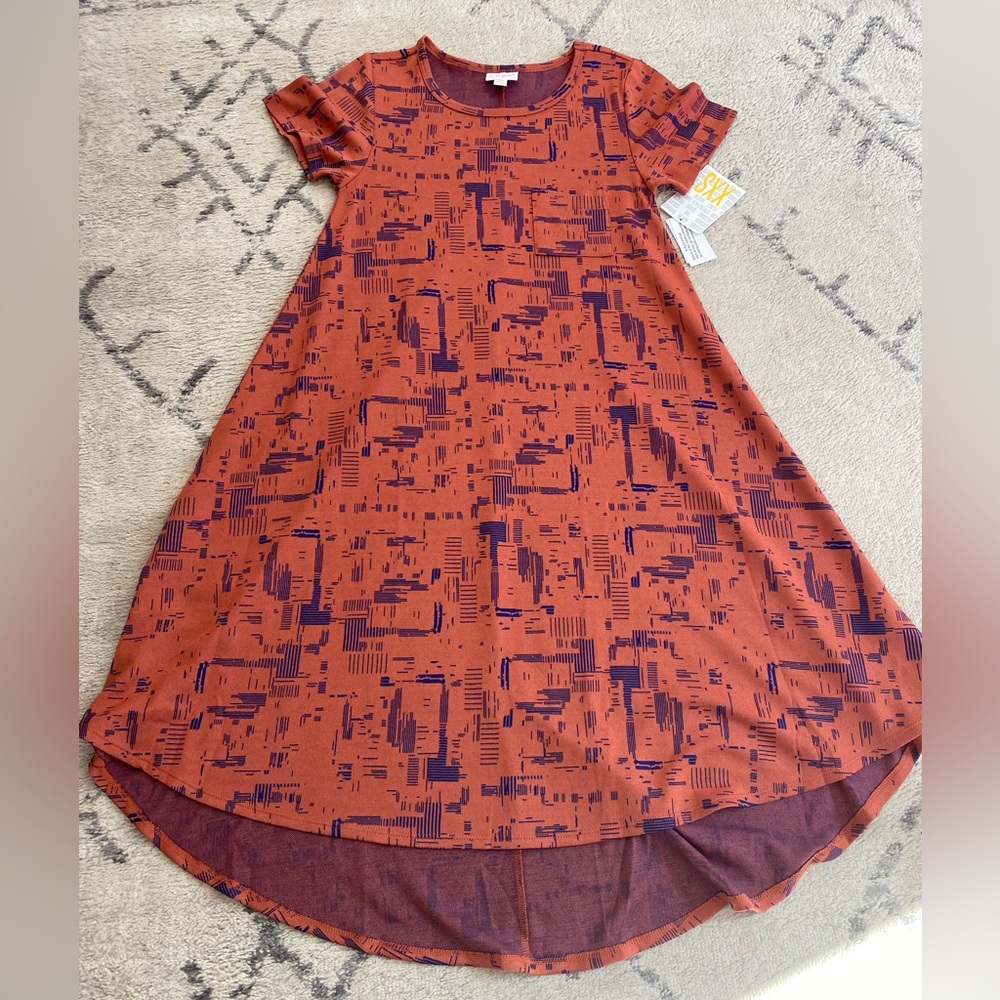 NWT LuLaRoe Carly dress